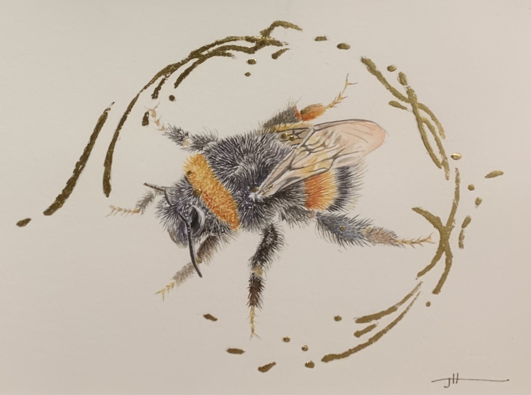 J HOcquard | Just Bee-cause |McAtamney Gallery and Desgin Store | Geraldine NZ